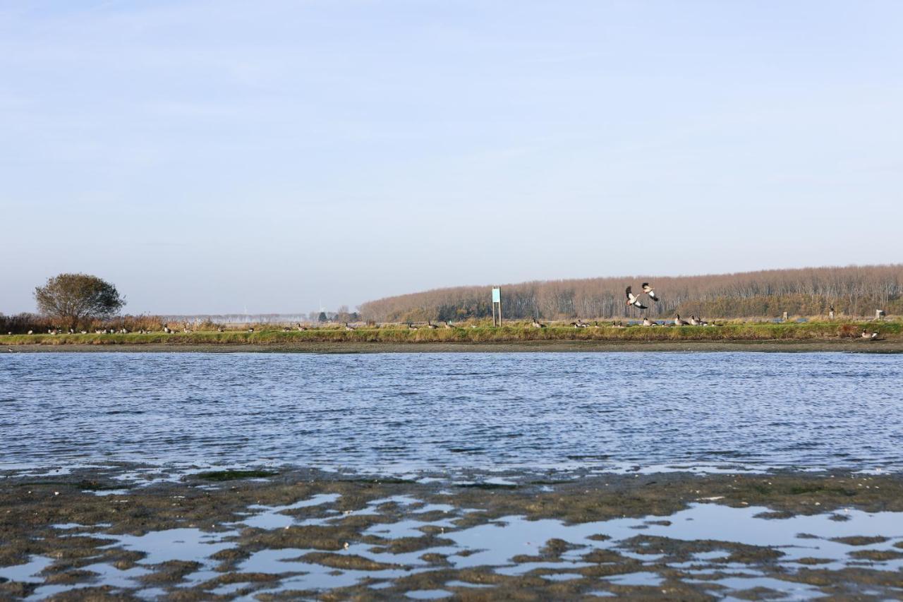 Wolphaartsdijk Huis Met Een Uitzicht Luaran gambar