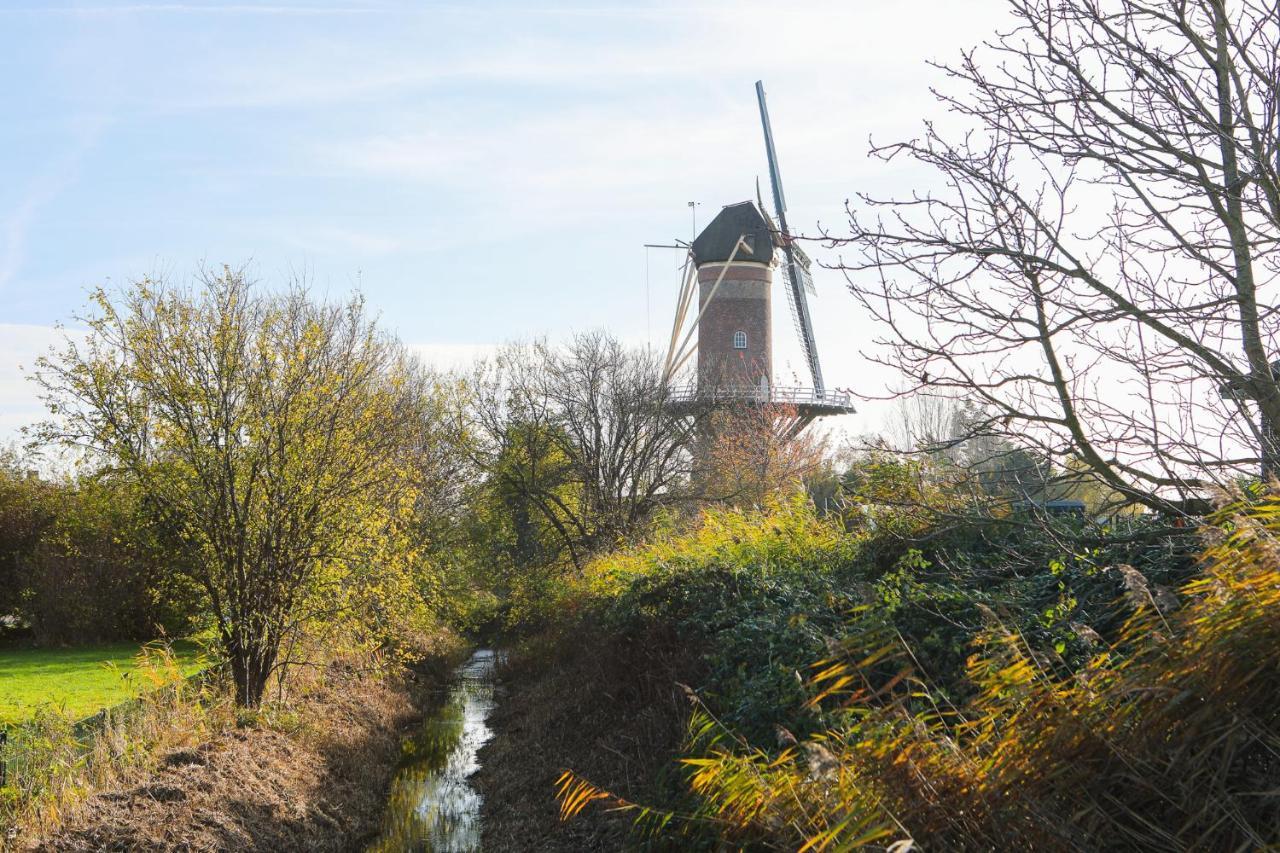 Wolphaartsdijk Huis Met Een Uitzicht Luaran gambar