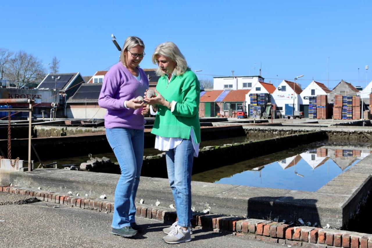 Wolphaartsdijk Huis Met Een Uitzicht Luaran gambar
